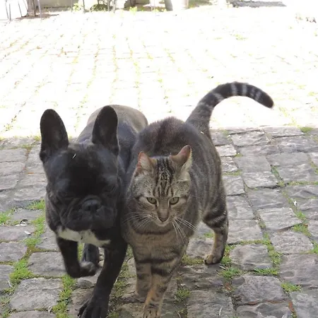 La Closerie Teranga בית נופש