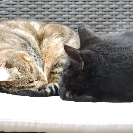 La Closerie Teranga Tatil Evi Bayeux