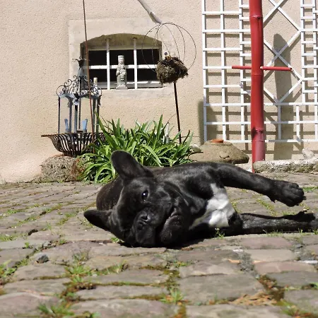 La Closerie Teranga Bayeux