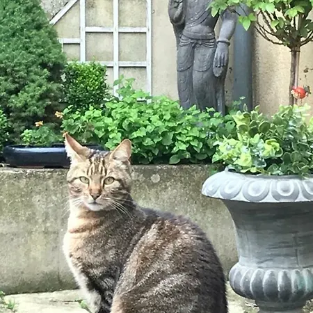 La Closerie Teranga Μπαγιέ