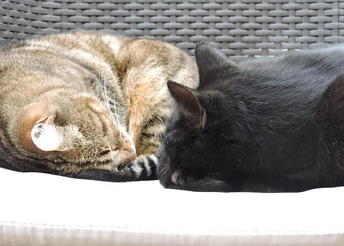 La Closerie Teranga Holiday home Bayeux