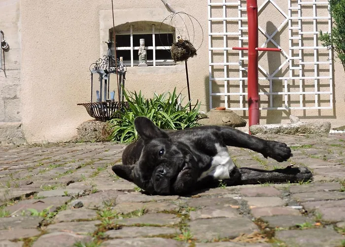 La Closerie Teranga バイユー