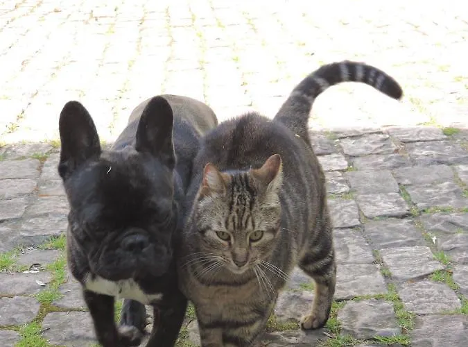 La Closerie Teranga 別荘