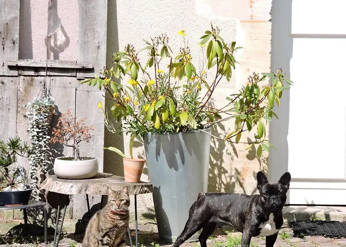 La Closerie Teranga *