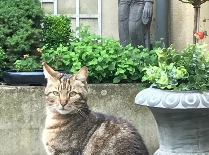 La Closerie Teranga バイユー